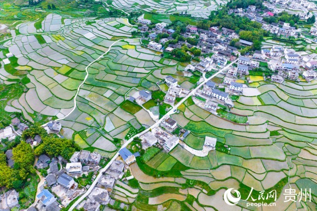 �����F��л�Ϫ�^�����������Wӛ�� Ϳ���z